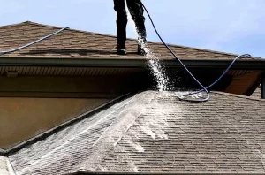 Roof Cleaning