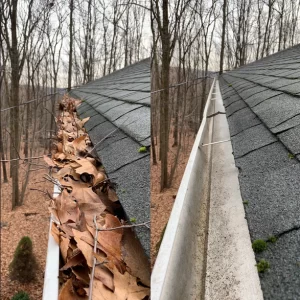 gutter-cleaning